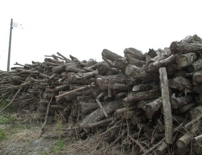 『薪』差し上げます！